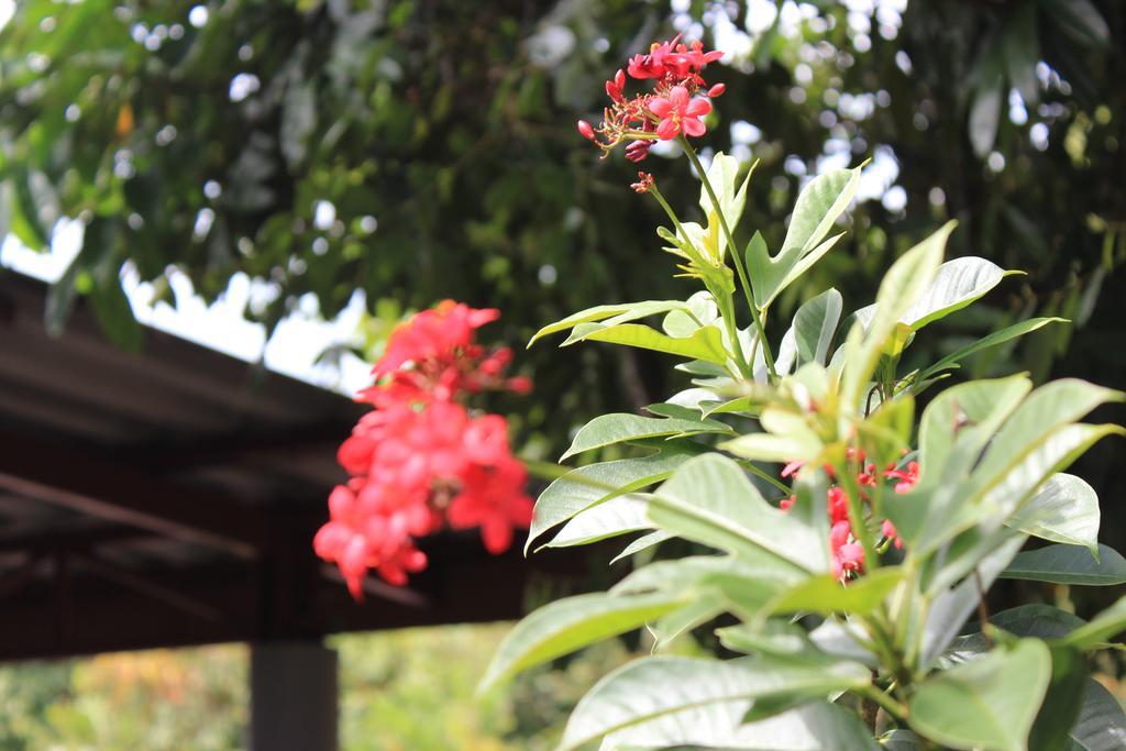 Lanta Happy Hill Hotel Koh Lanta Exterior photo